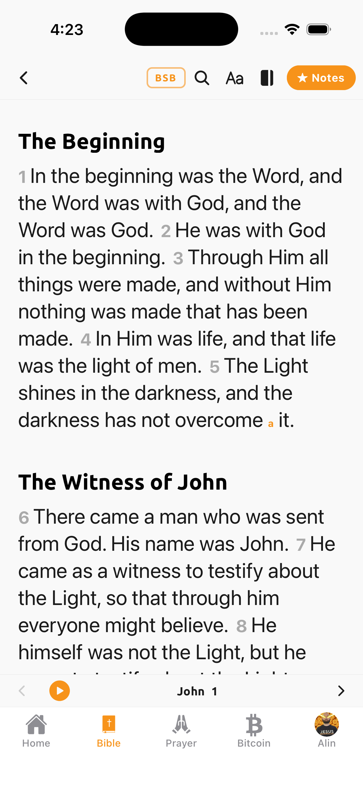 Orange Bible reader